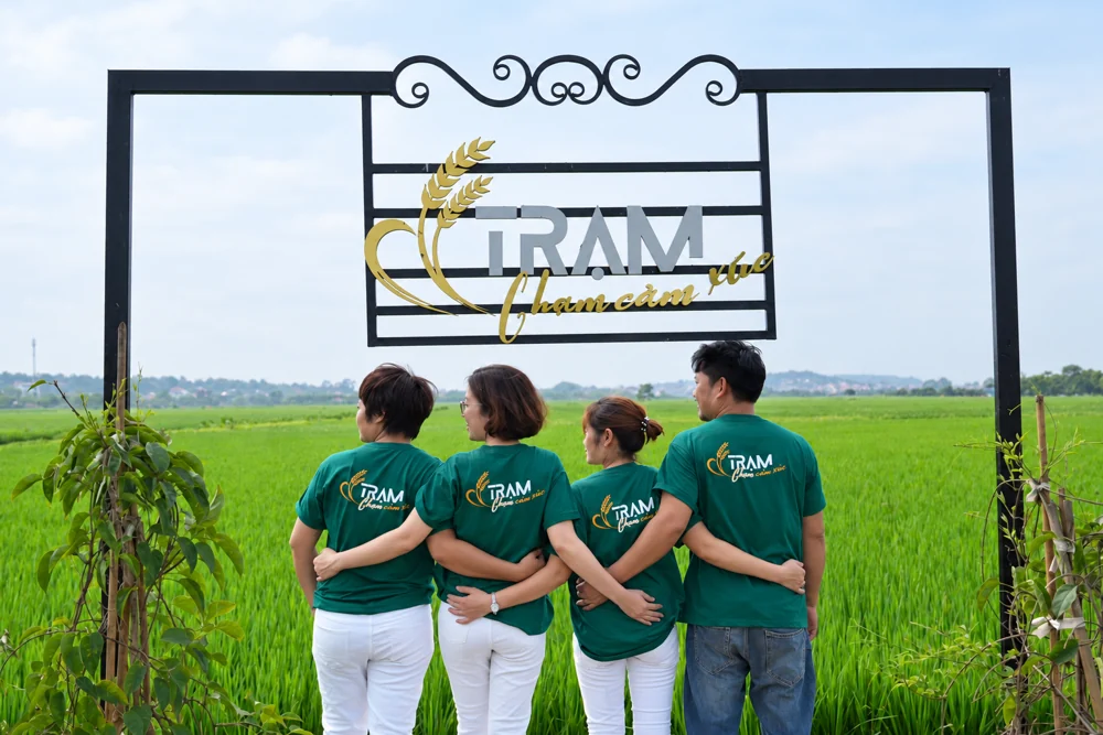 Áo xanh in logo sau lưng – ảnh phục chế